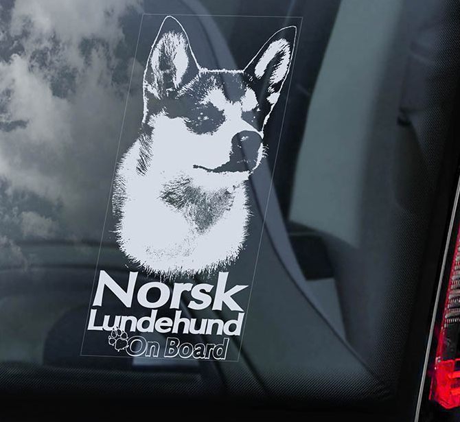 Norský lundehund