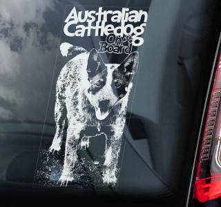 Australský honácký pes