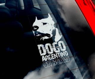 Argentinská doga - kupírovaná