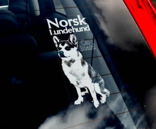 Norský lundehund
