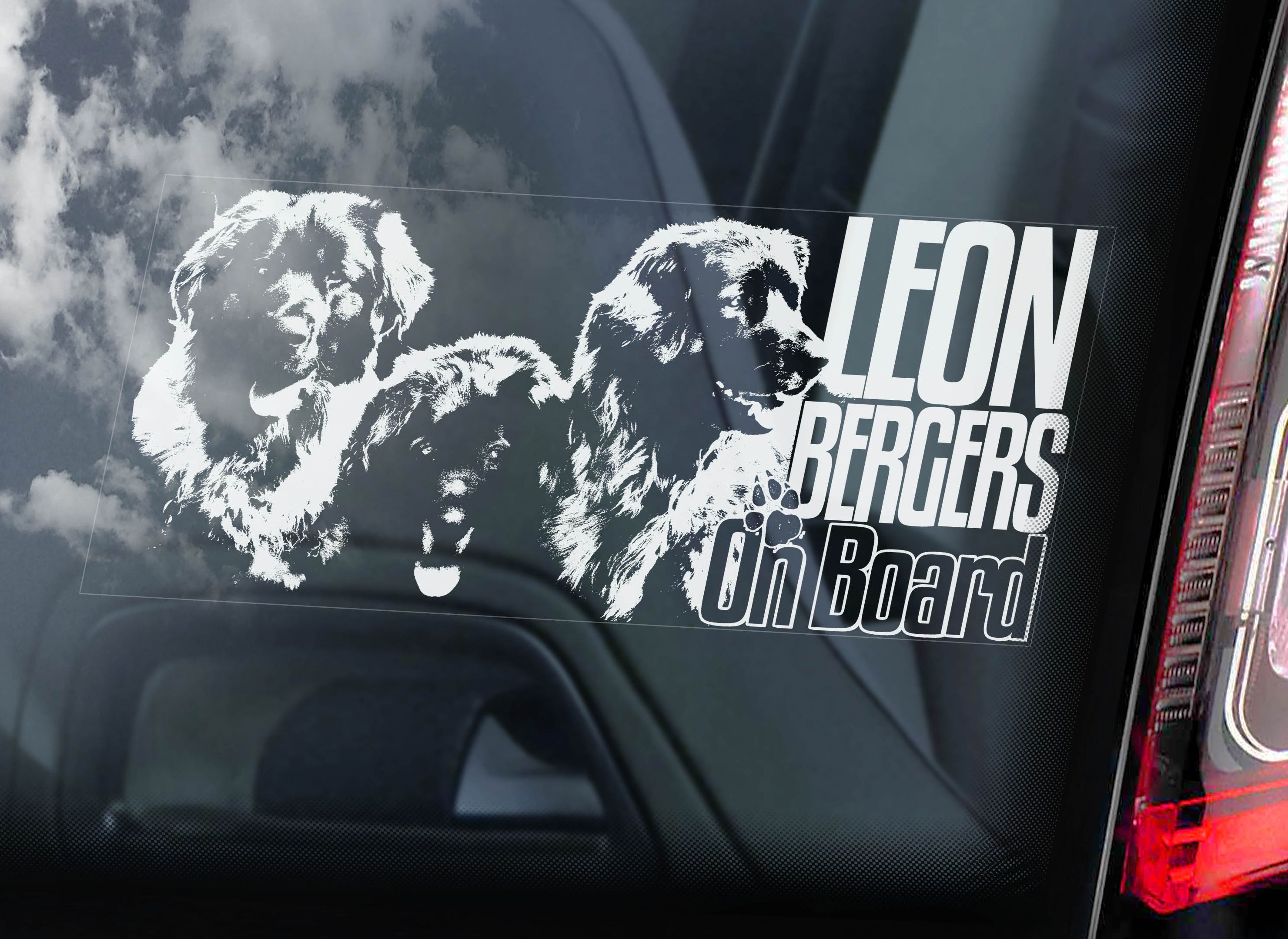 Leonberger - skupina