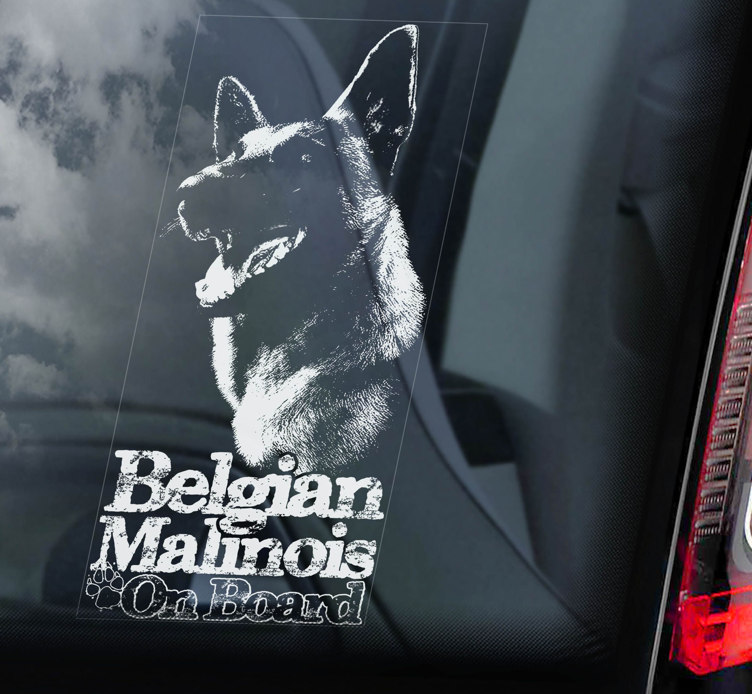 Belgický ovčák - Malinois