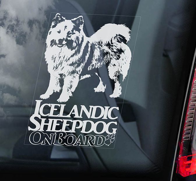 Islandský pes