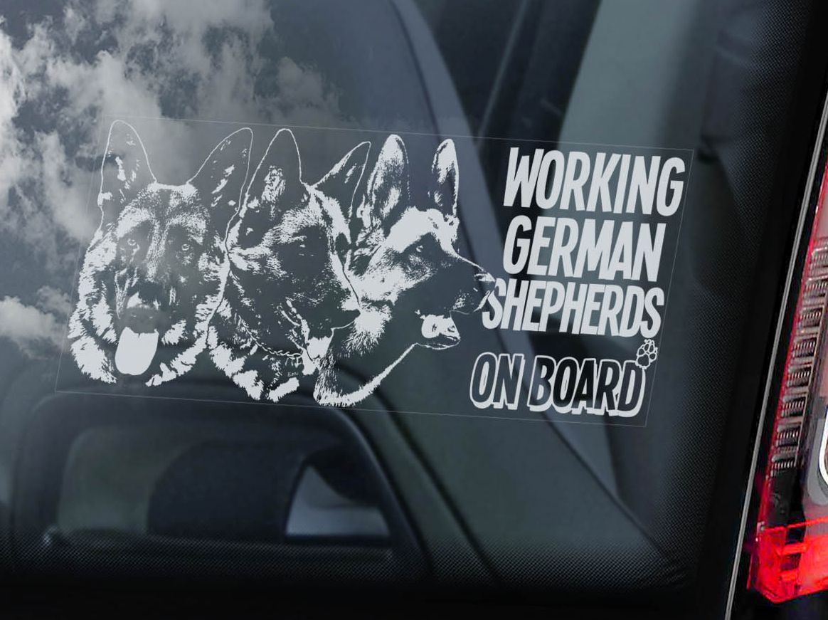 Německý ovčák pracovní - trojice