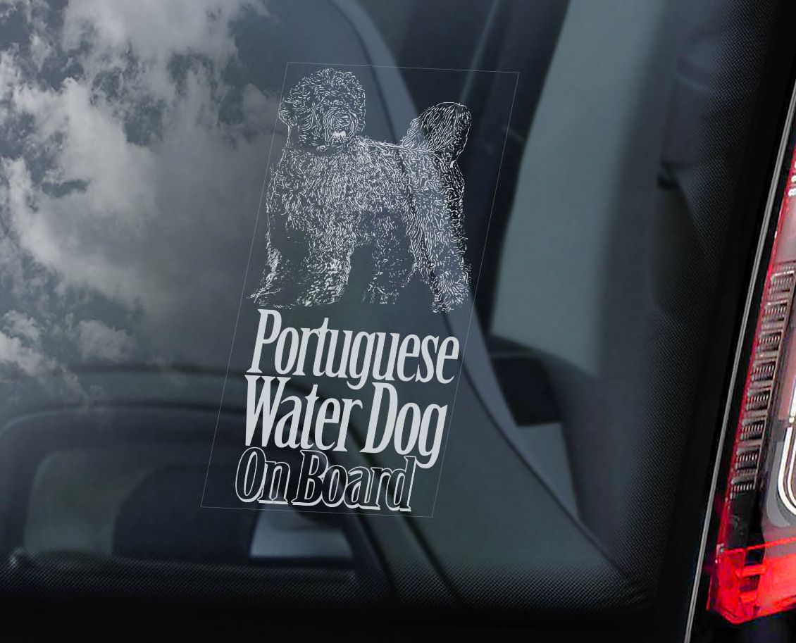 Portugalský vodní pes