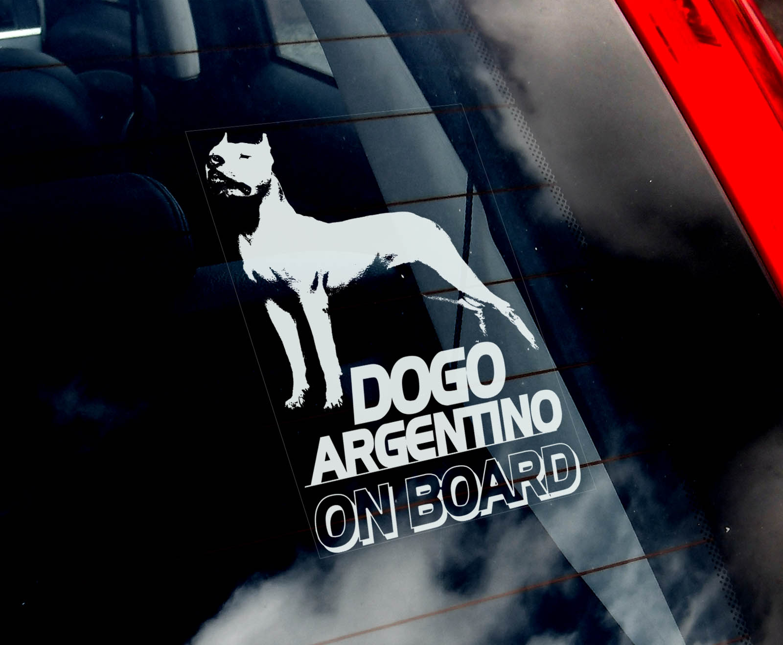 Argentinská doga - kupírovaná