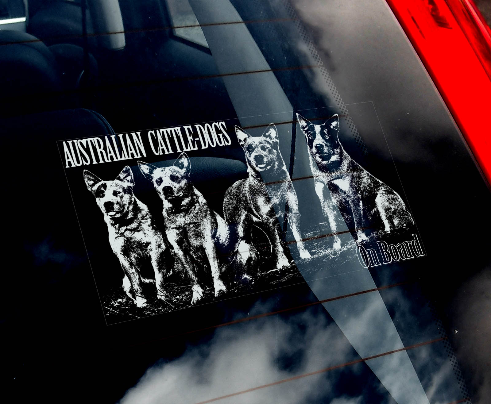 Australský honácký pes - skupina
