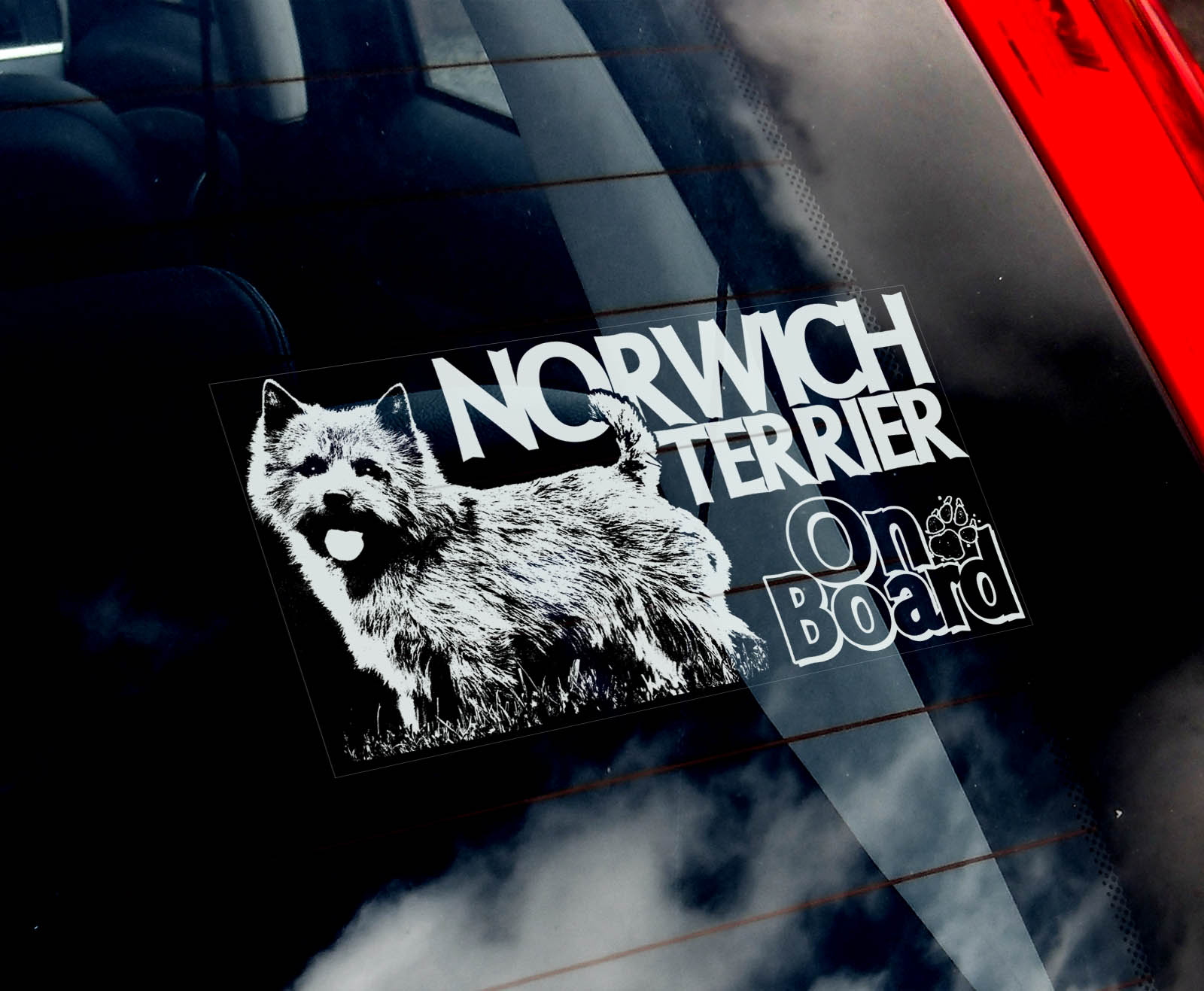 Norwich teriér