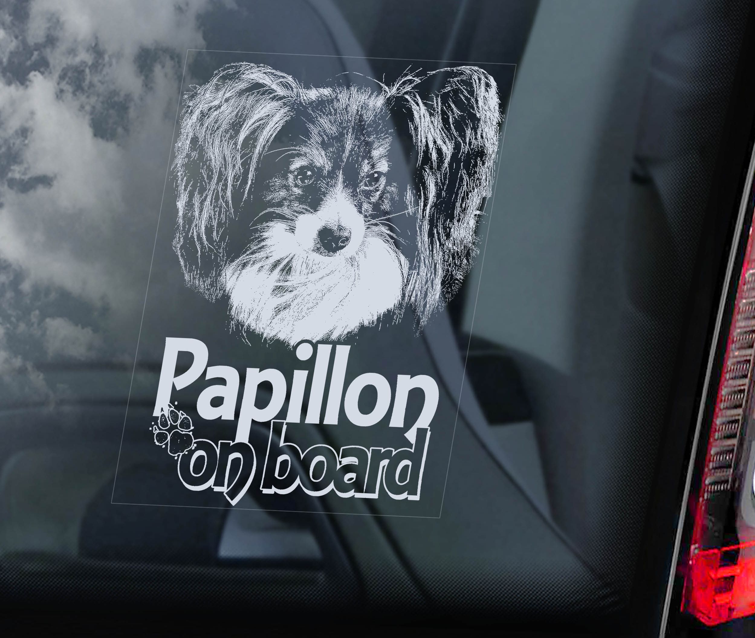 Papillon