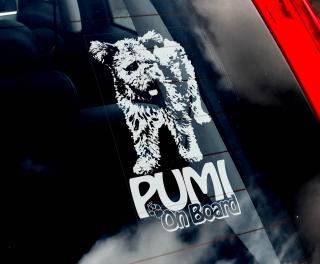 Pumi