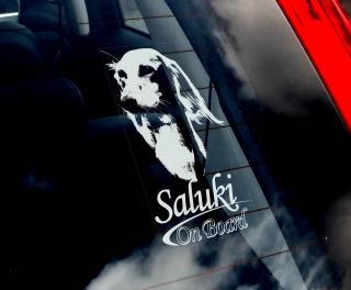 Saluki