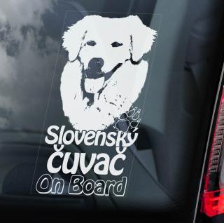 Slovenský čuvač