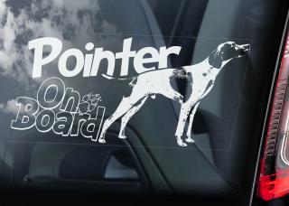 Pointer