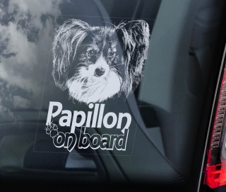 Papillon